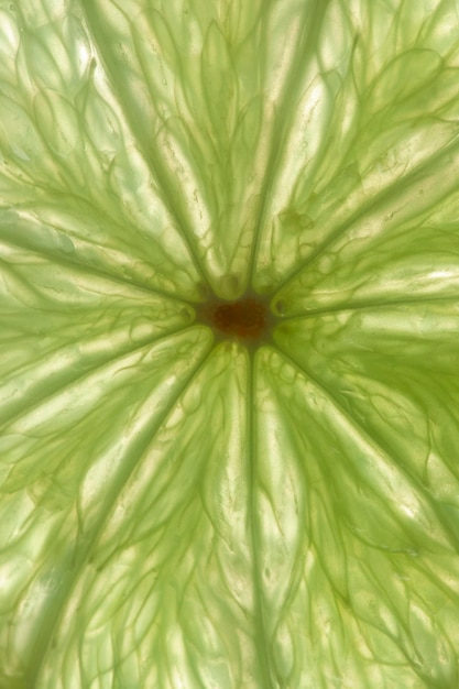 Photo macro de citron vert sur fond blanc