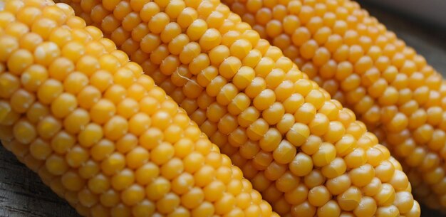 Photo macro de grappes de maïs sèches Photo de stock pour les arrière-plans de maïs