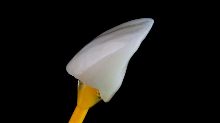 Photo photo macro supérieure de la facette sur fond noir sur une baguette dentaire spéciale