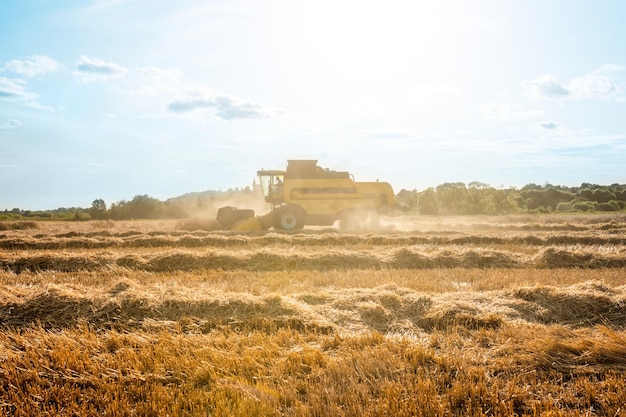 Photo photo d'une moissonneuse-batteuse travaillant sur un champ de blé