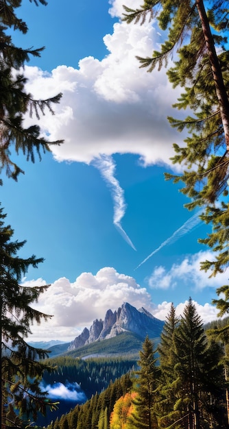 photo d'une montagne et d'un ciel bleu avec des nuages photographie de forêt