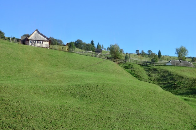 Photo des montagnes des Carpates, qui ont beaucoup de conifères.