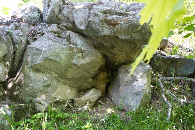 La photo montre d'énormes rochers grosses pierres dans une forêt verte d'été Oulianovsk