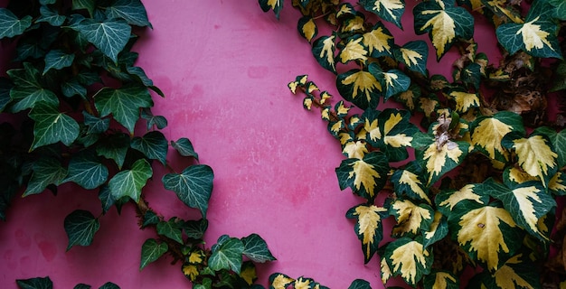 photo d'un mur de ciment texturé vintage