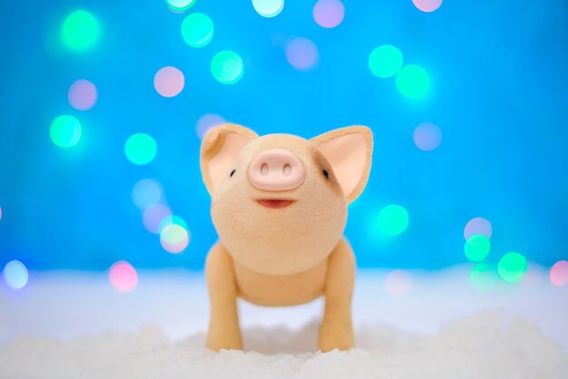 Photo de Noël avec un cochon mignon d'ici le nouvel an 2019 sur un fond bleu magique avec des lumières