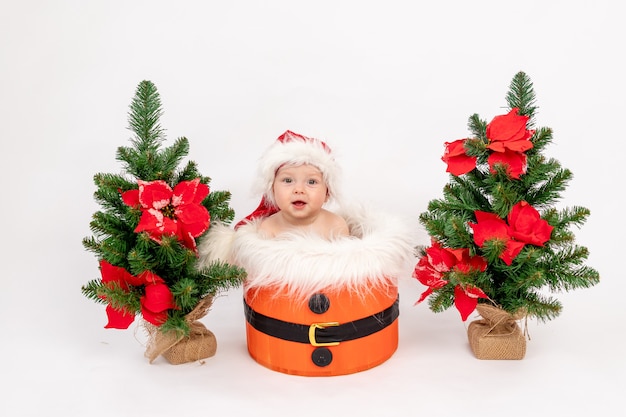 Photo de Noël une petite fille enfant assise dans un bonnet de Noel dans un panier près des arbres de Noël