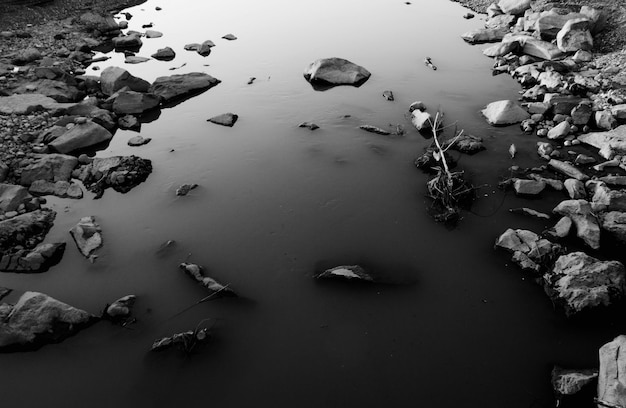 Photo photo en noir et blanc du ruisseau