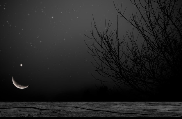 Une photo en noir et blanc d'une table en bois avec un arbre et les mots " le mot " dessus ".