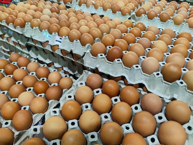 Photo d'œufs de poule au supermarché