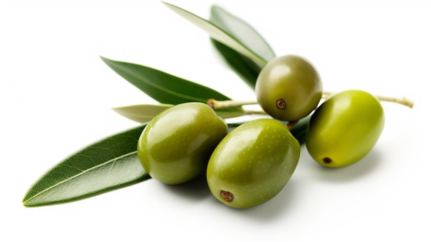 photo d'olives