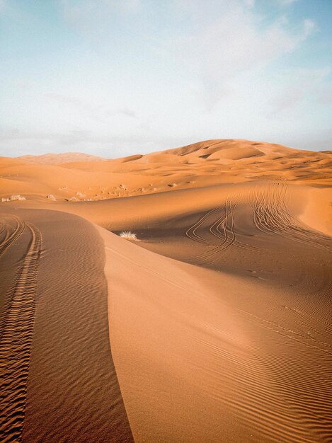 Photo photo d'un paysage désertique magnifique et chaud