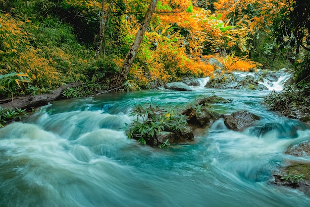 La photo de paysage, Mae Hat Waterfall, belle cascade dans la forêt tropicale, province de Chiang Mai, Thaïlande