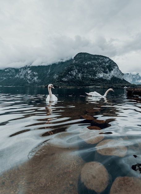 Photo de paysage moderne de Hallstatt en Autriche Lake Hallstatt humeur dramatique brumeuse voyage nuageux