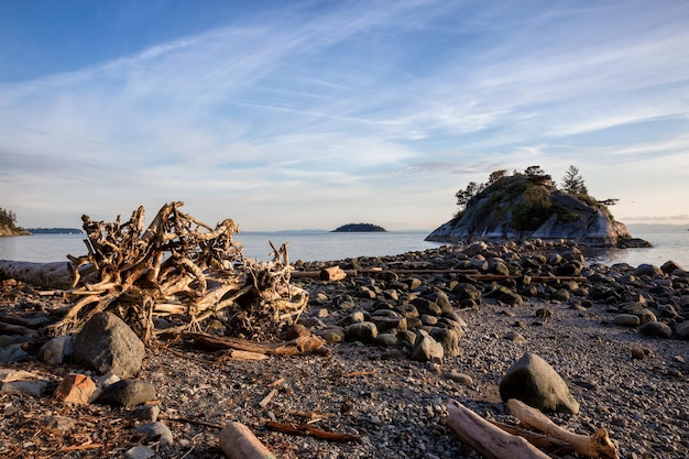 Photo de paysage naturel de l'arrière-plan du parc Whytecliff