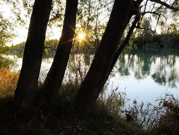 Photo Photo de la belle rivière Brenta sauvage dans le nord de l'Italie