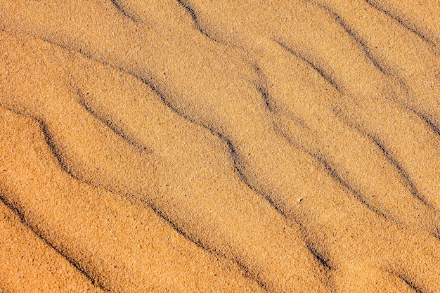 Photo Photo du désert de dunes de sable de texture