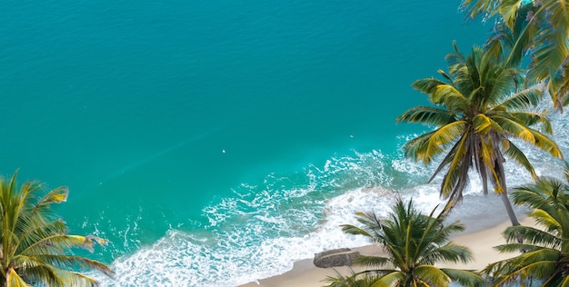 Photo de plage avec palmiers et vagues de la mer Vue de dessus