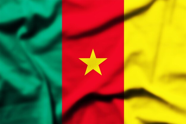 Une photo rapprochée du drapeau du Cameroun.