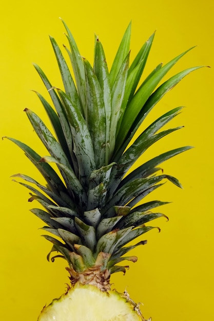 La photo réaliste d'ananas en studio