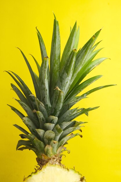 La photo réaliste d'ananas en studio