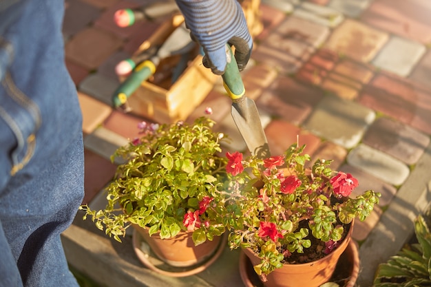 Photo recadrée d'une petite truelle utilisée pour le jardinage et la plantation