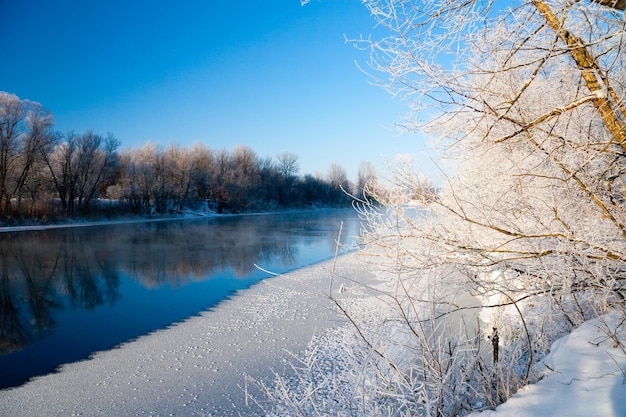 Photo la rivière enneigée n'a pas gelé en hiver La rivière coule en hiver Neige sur les branches des arbres Reflet de la neige dans la rivière D'énormes congères se trouvent sur la rive du ruisseau