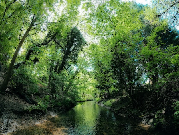 Photo de la rivière paisible de Gopro