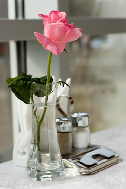 Photo de rose fraîche dans un bol en verre