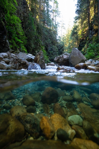 Photo superposée d'un magnifique canyon dans la vallée de Lynn