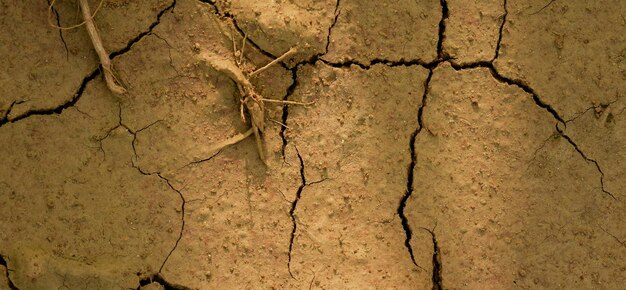 photo de la surface de la terre