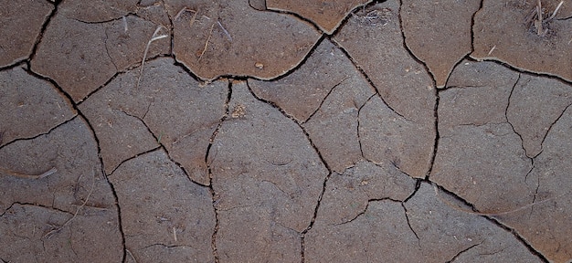 photo de la surface de la terre