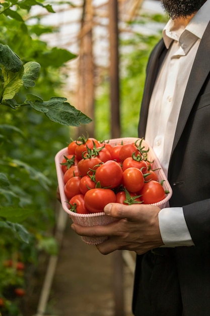 Photo de tas de tomates dans le panier mains d39un homme