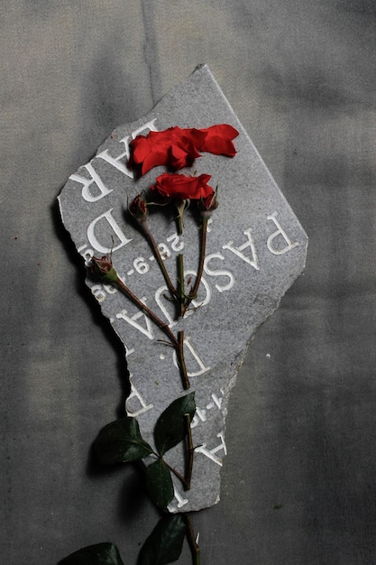 Photo triste d'une fleur de rose rouge sur un morceau de pierre tombale
