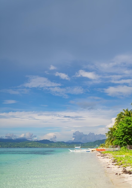 Photo verticale de fond panoramique d'une plage tropicale colorée avec un ciel bleu palmiers et bateaux de couleurs vives copiez l'espace