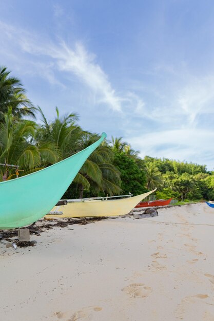 Photo verticale de fond panoramique d'une plage tropicale colorée avec un ciel bleu palmiers et bateaux de couleurs vives copiez l'espace