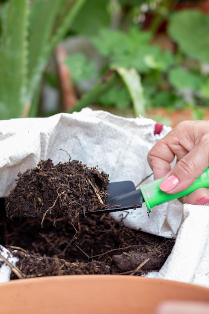 Photo verticale de mains creusant un sol nutritif pour les plantes