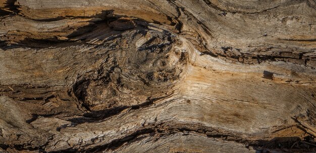 photo de la vieille surface en bois