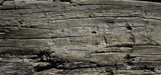 photo de la vieille surface en bois