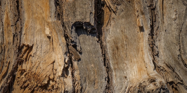 photo de la vieille surface en bois