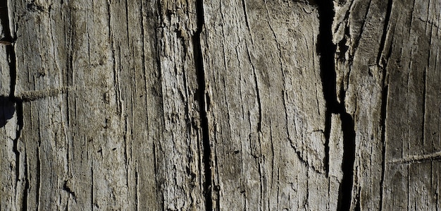 photo de la vieille surface en bois