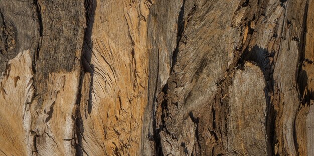 photo de la vieille surface en bois