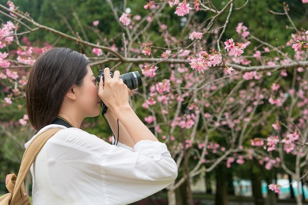 Photographe asiatique prenant une photo sous le cerisier en fleurs.