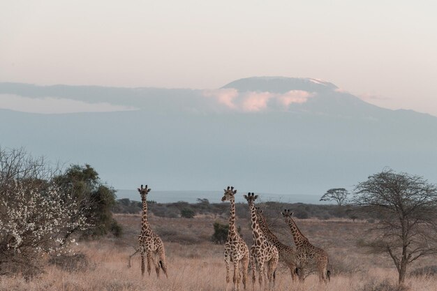 Photographe documentaire de voyage sur le style de vie kenyan_Antony Trivet Photography_Creative Stylish AwardWinning