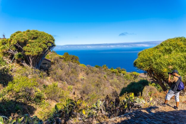 Un photographe photographiant sur le sentier Las Tricias dans la ville de Garafia dans le nord de l'île de La Palma, Îles Canaries