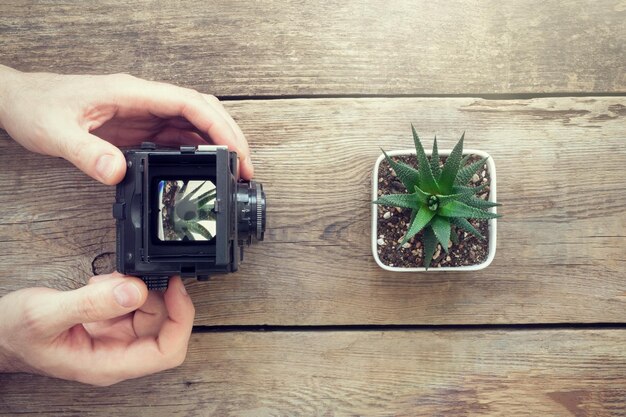 Photographe prenant une photo de succulente à l'aide d'un appareil photo ancien Vue de dessus