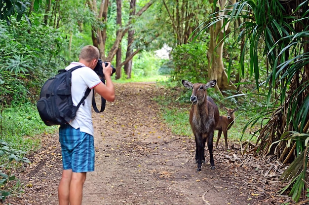 Photographe safari photo dans la savane du Kenya