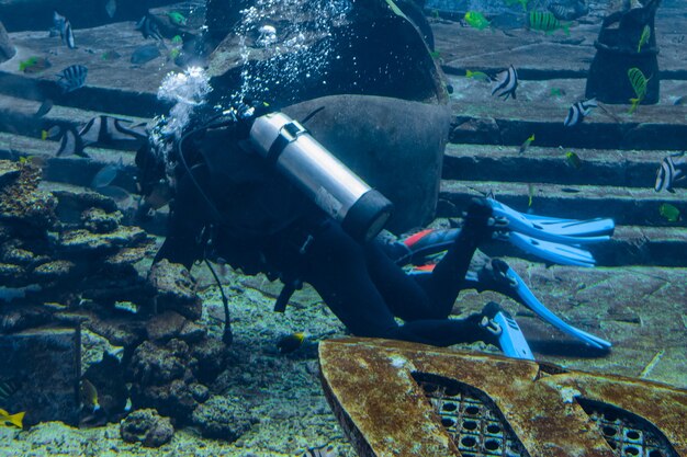 Photographes sous-marins en plongée sous-marine. Plongeurs avec caméra entourés d'un grand nombre de poissons dans l'immense aquarium. Atlantis, Sanya, Hainan, Chine.