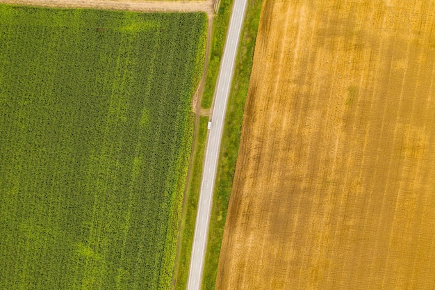 Photographie aérienne de haut en haut d'un drone d'une terre avec des champs verts semés dans la campagne