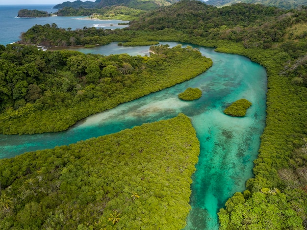 Photo photographie aérienne de mangroves et de bancs de sable le long de la zone venas azules portobelo panama