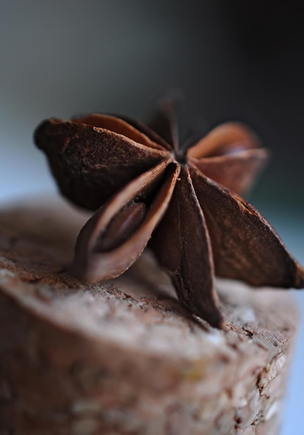 photographie alimentaire d'épice macro closeup anis étoilé